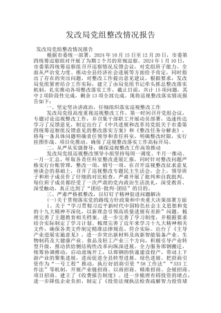 发改局党组整改情况报告
