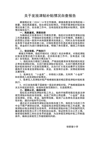 发放津贴补贴情况自查报告