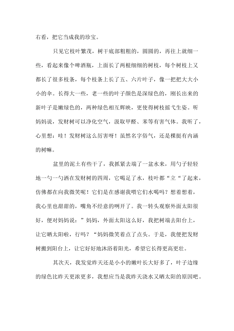 发财树作文九篇_第3页