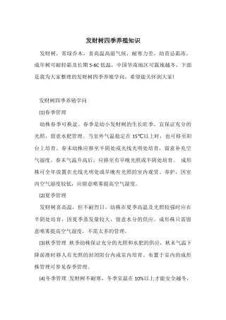 发财树四季养殖知识