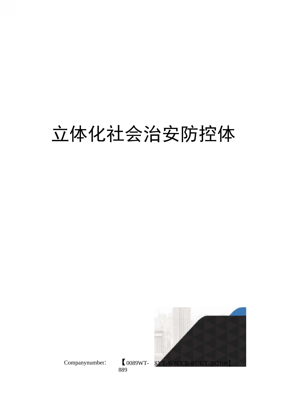 立体化社会治安防控体系_第1页