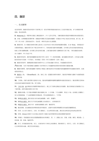 局部解剖学名词解释+简答——腹部