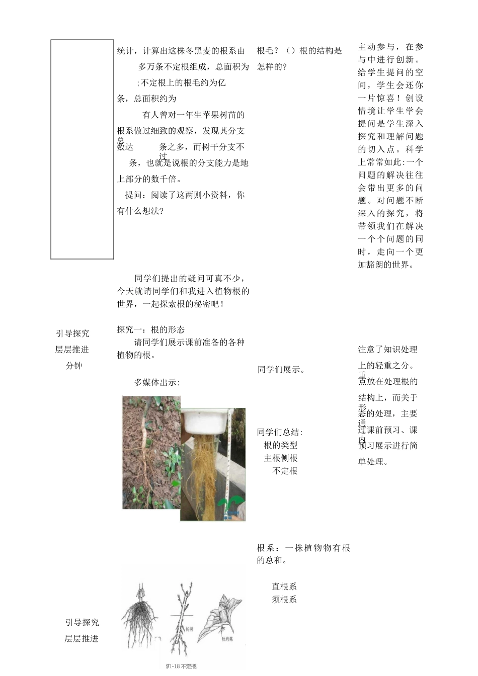 新人教版七年级生物上册：种子的萌发教案_第2页