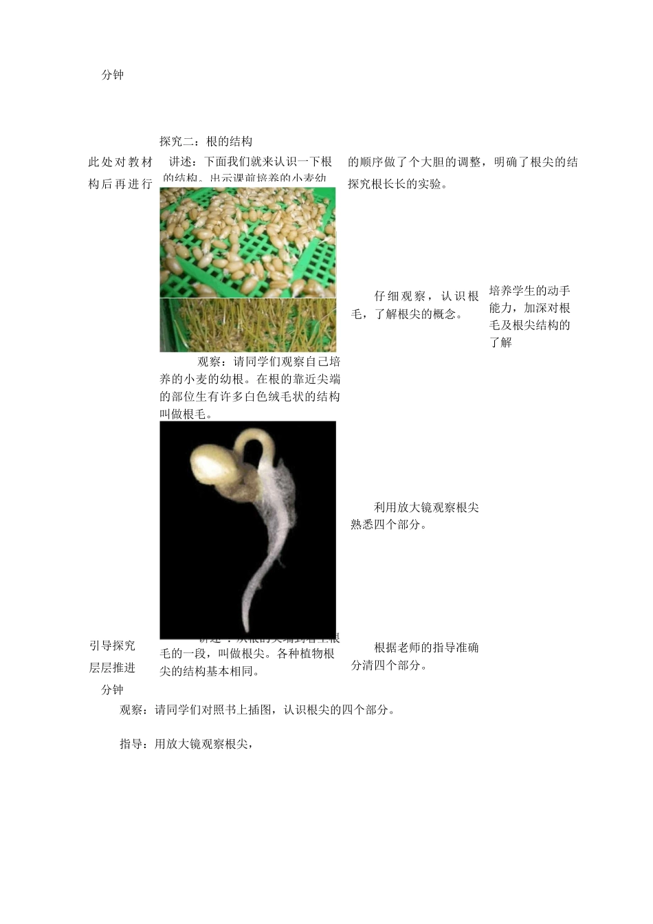 新人教版七年级生物上册：种子的萌发教案_第3页