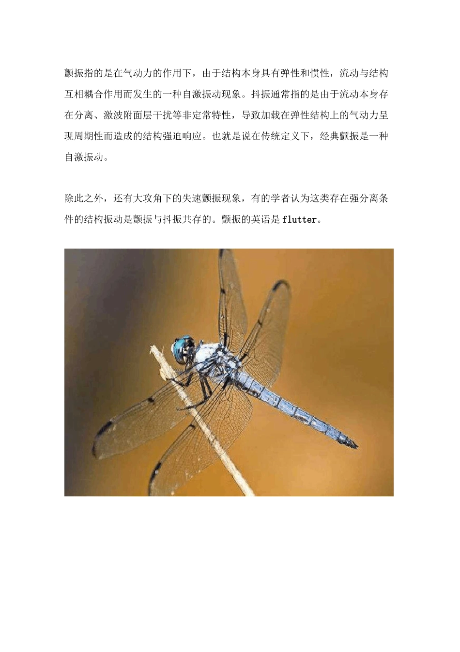 振动分为共振、涡振、颤振、抖振、喘振、驰振、涡街分得清吗_第3页