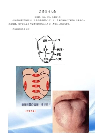 舌诊图谱大全