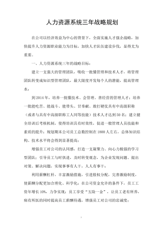 人力资源系统三年战略规划