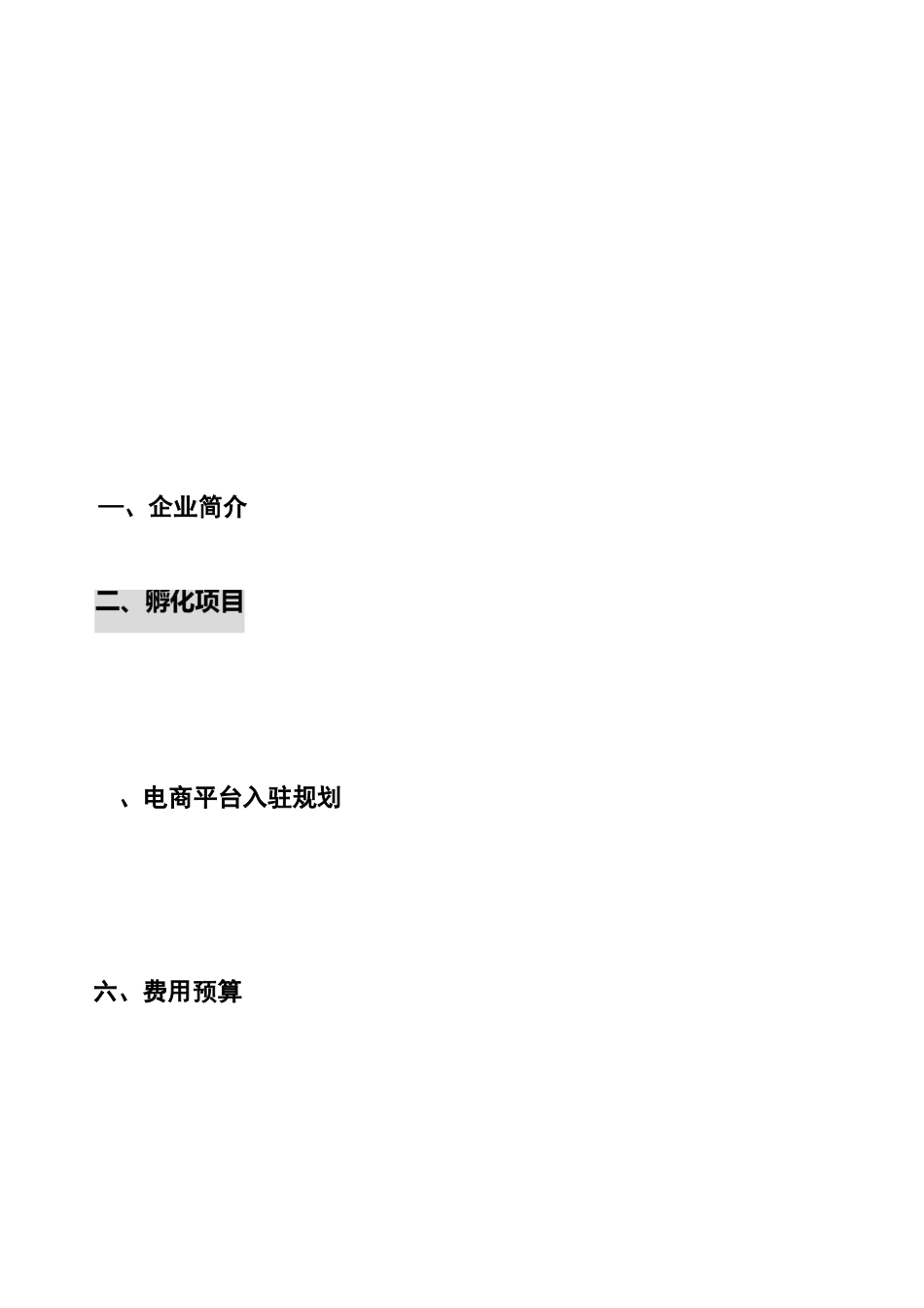 电商孵化运营建设方案_第2页
