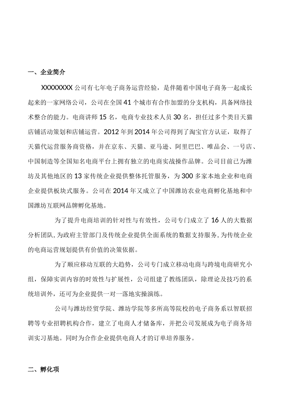 电商孵化运营建设方案_第3页