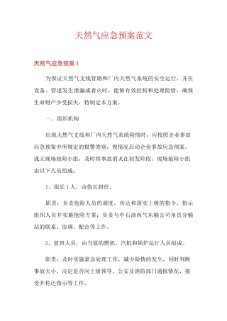 天然气应急预案范文