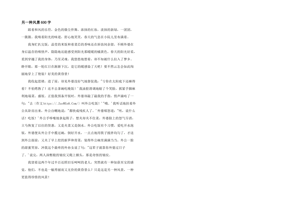 另一种风景600字_第1页