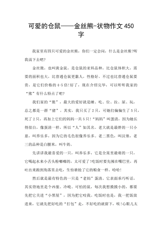 可爱的仓鼠——金丝熊