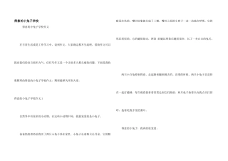 可爱的小兔子小学