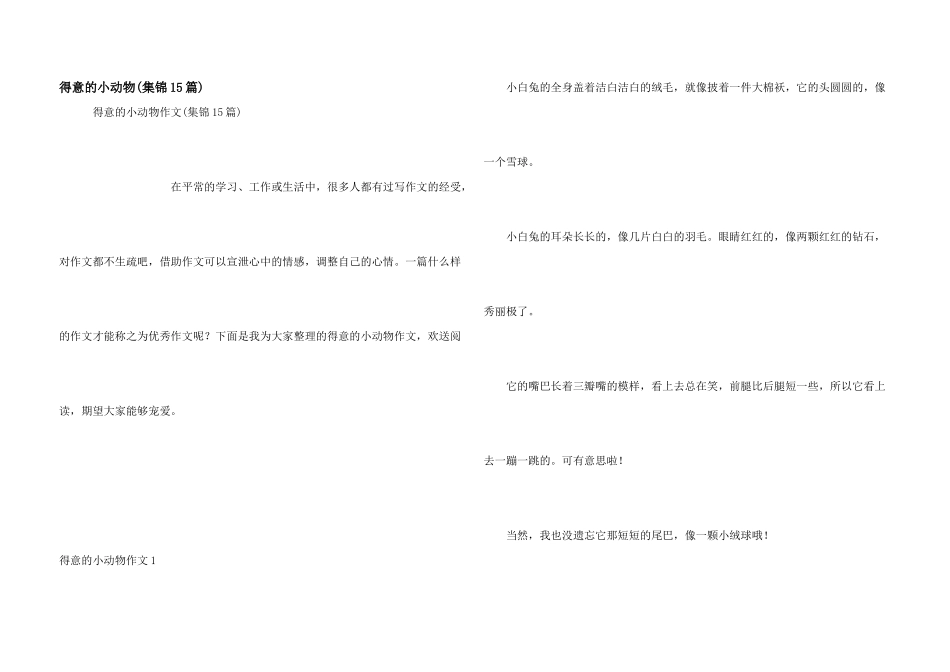 可爱的小动物_第1页