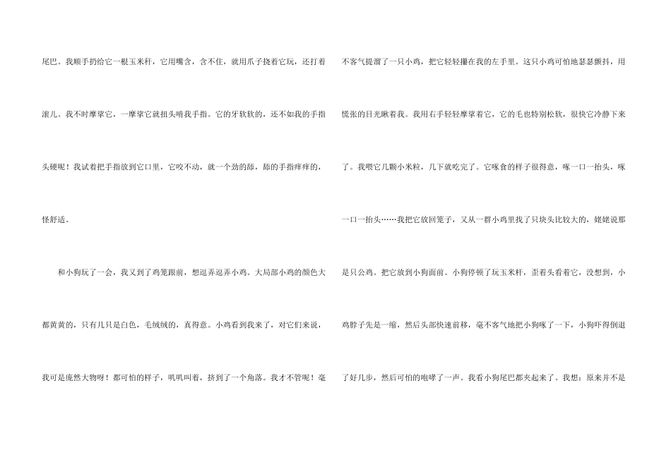 可爱的小动物动物_第3页