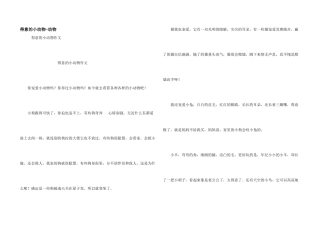 可爱的小动物动物