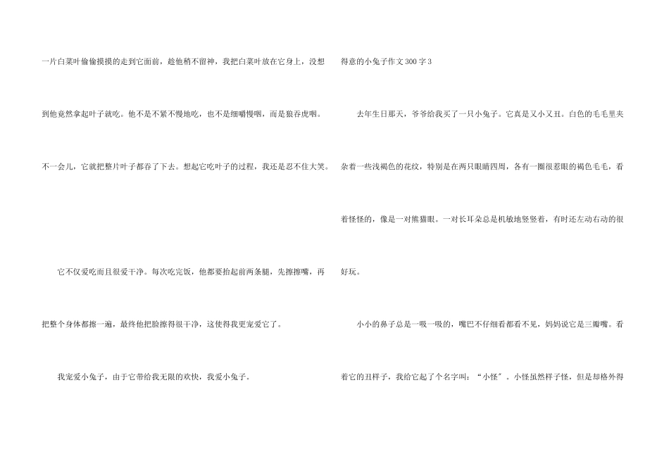 可爱的小兔子300字_第3页