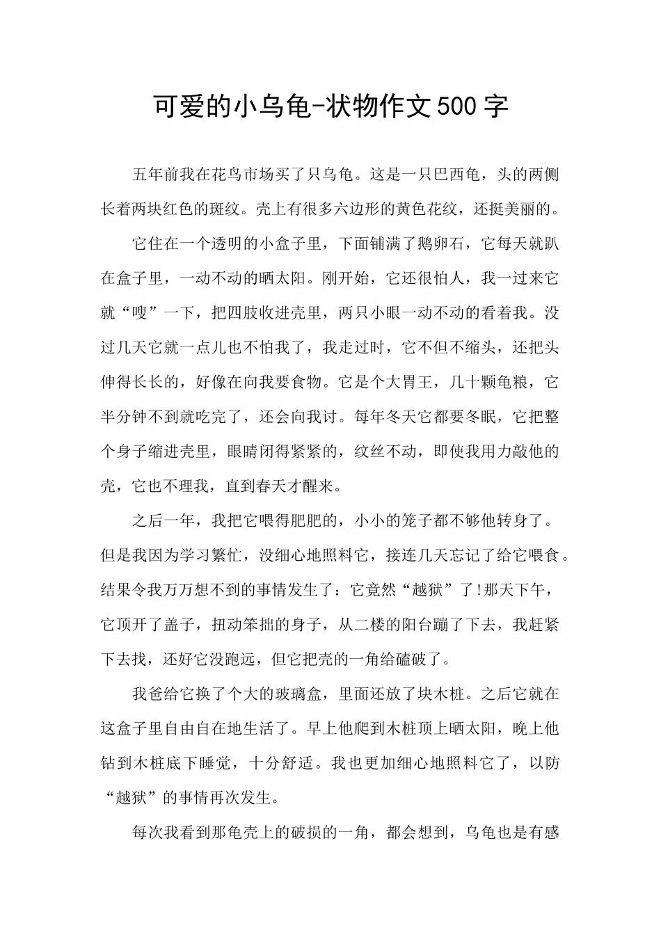 可爱的小乌龟_第1页