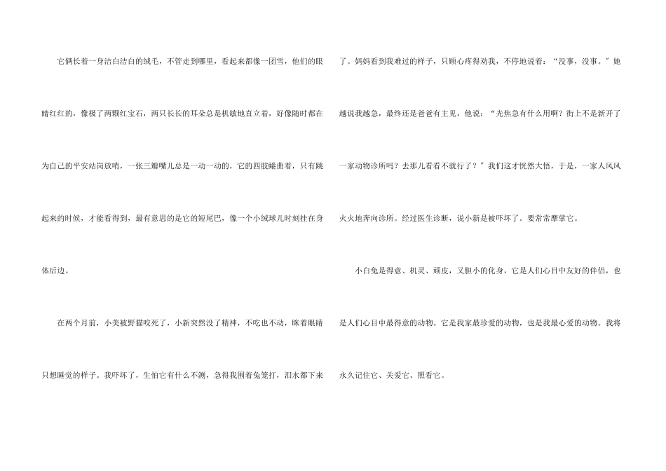 可爱的小白兔_第3页