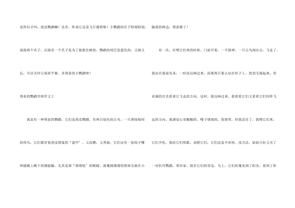 可爱的鹦鹉小学_第2页