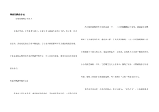 可爱的鹦鹉小学