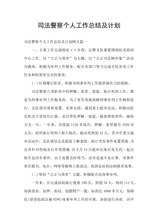 司法警察个人工作总结及计划