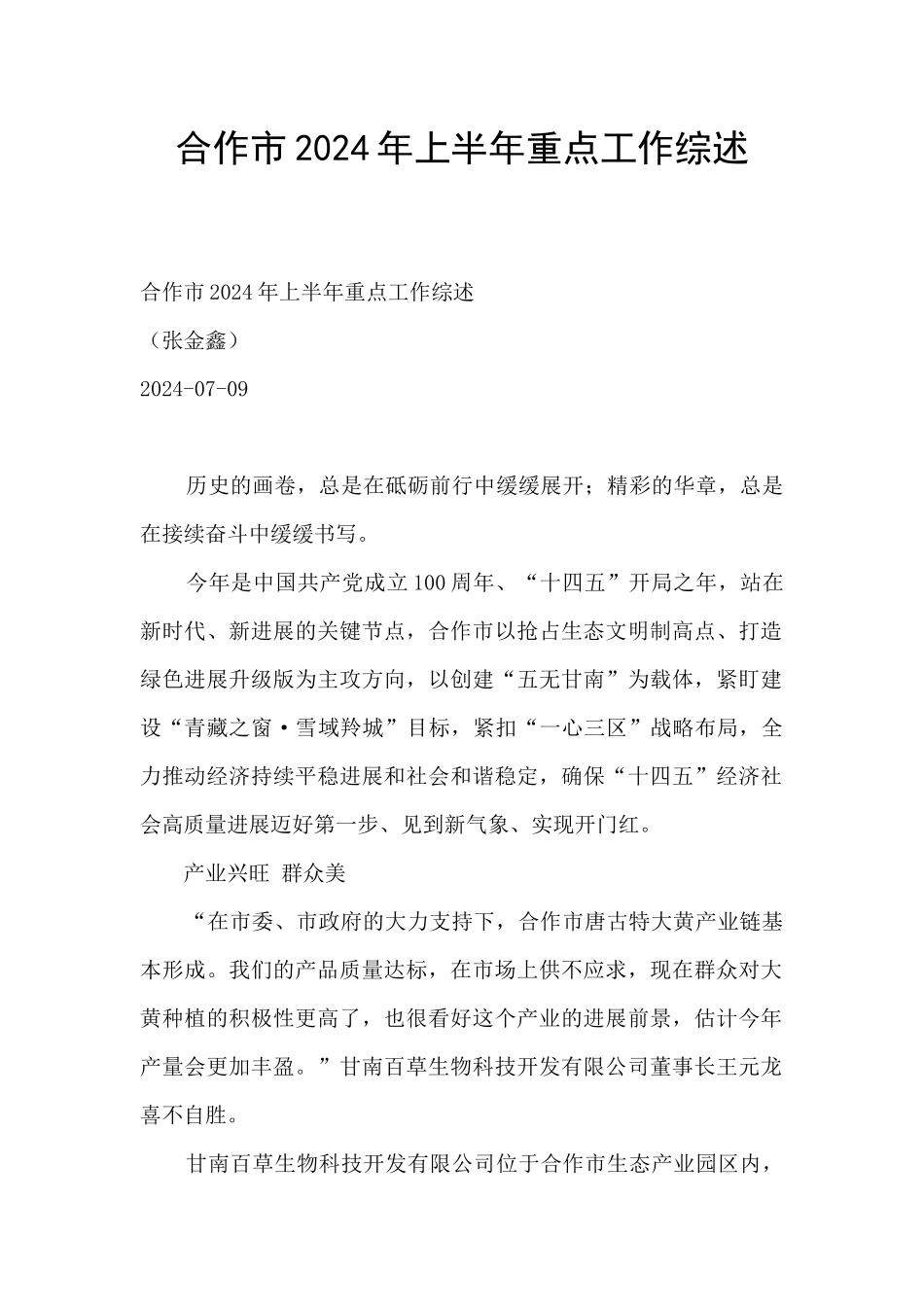 合作市2024年上半年重点工作综述_第1页