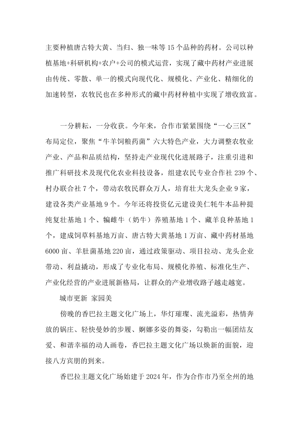 合作市2024年上半年重点工作综述_第2页