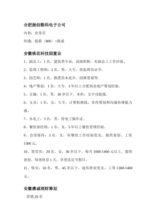 合肥振创数码电子公司