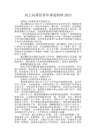 向上向善好青年事迹材料2024