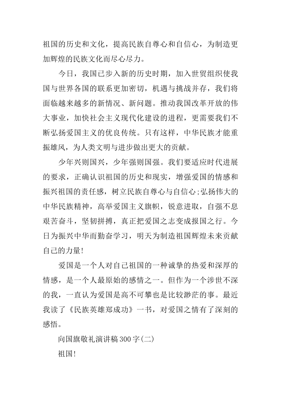 向国旗敬礼演讲稿300字_第3页