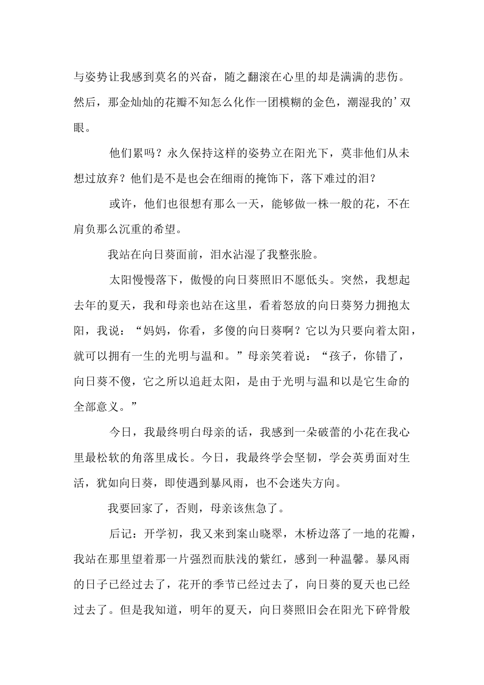 向日葵的夏天_第2页