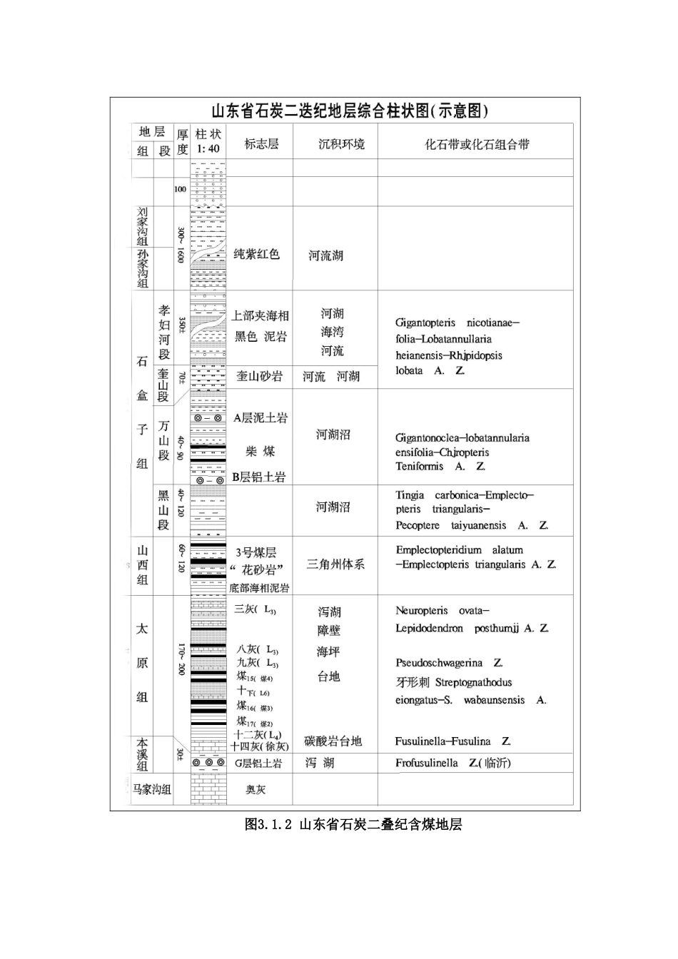 含煤地层与煤层_第3页
