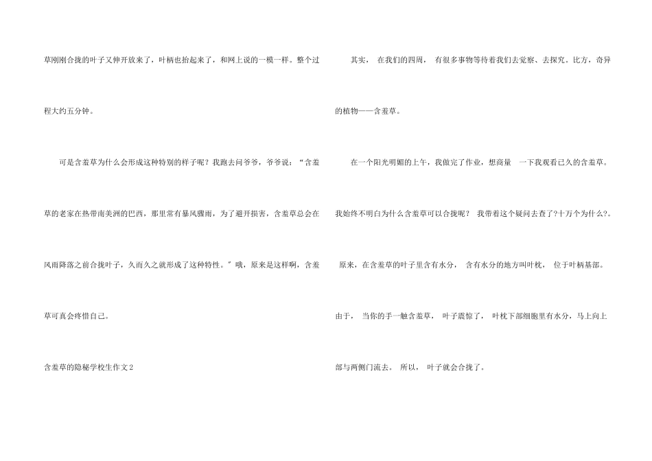含羞草的秘密小学生_第2页