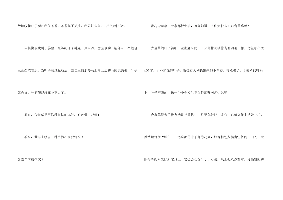 含羞草小学15篇_第3页