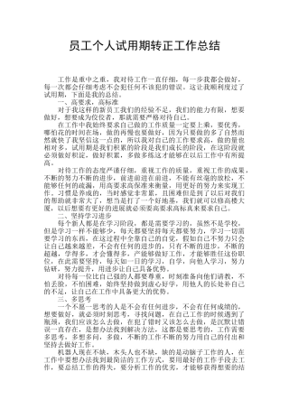 员工个人试用期转正工作总结