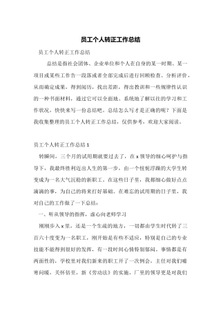 员工个人转正工作总结