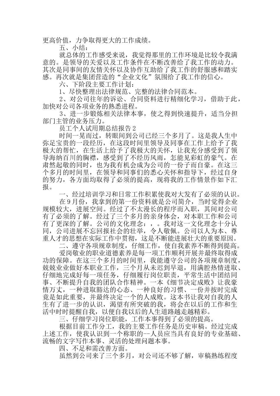 员工个人试用期总结报告_第2页