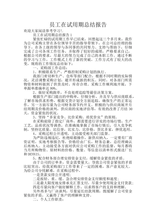 员工在试用期总结报告