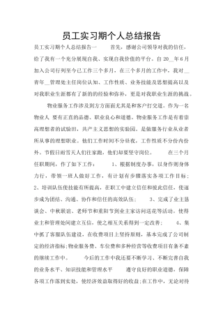 员工实习期个人总结报告
