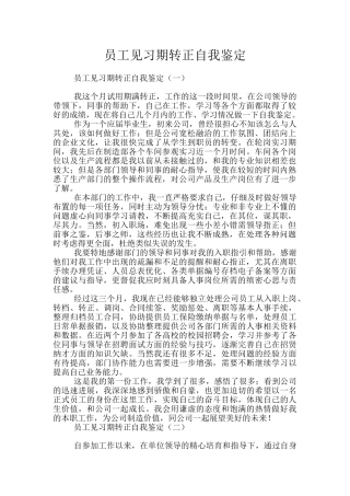 员工见习期转正自我鉴定