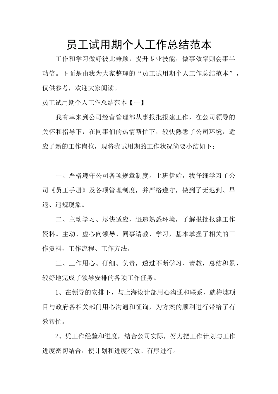 员工试用期个人工作总结范本_第1页
