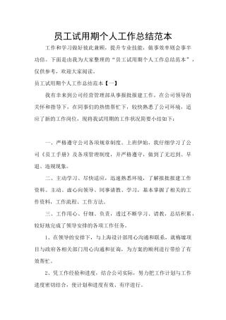员工试用期个人工作总结范本