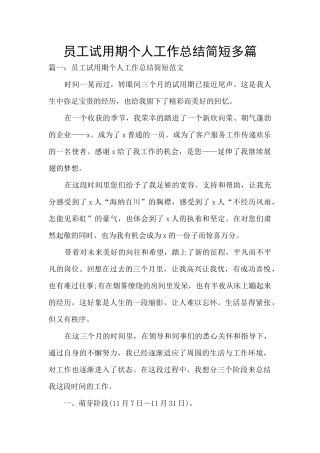 员工试用期个人工作总结简短多篇