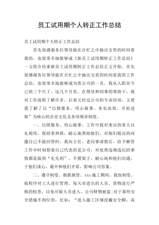 员工试用期个人转正工作总结