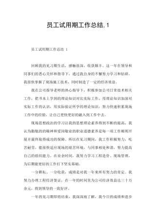 员工试用期工作总结