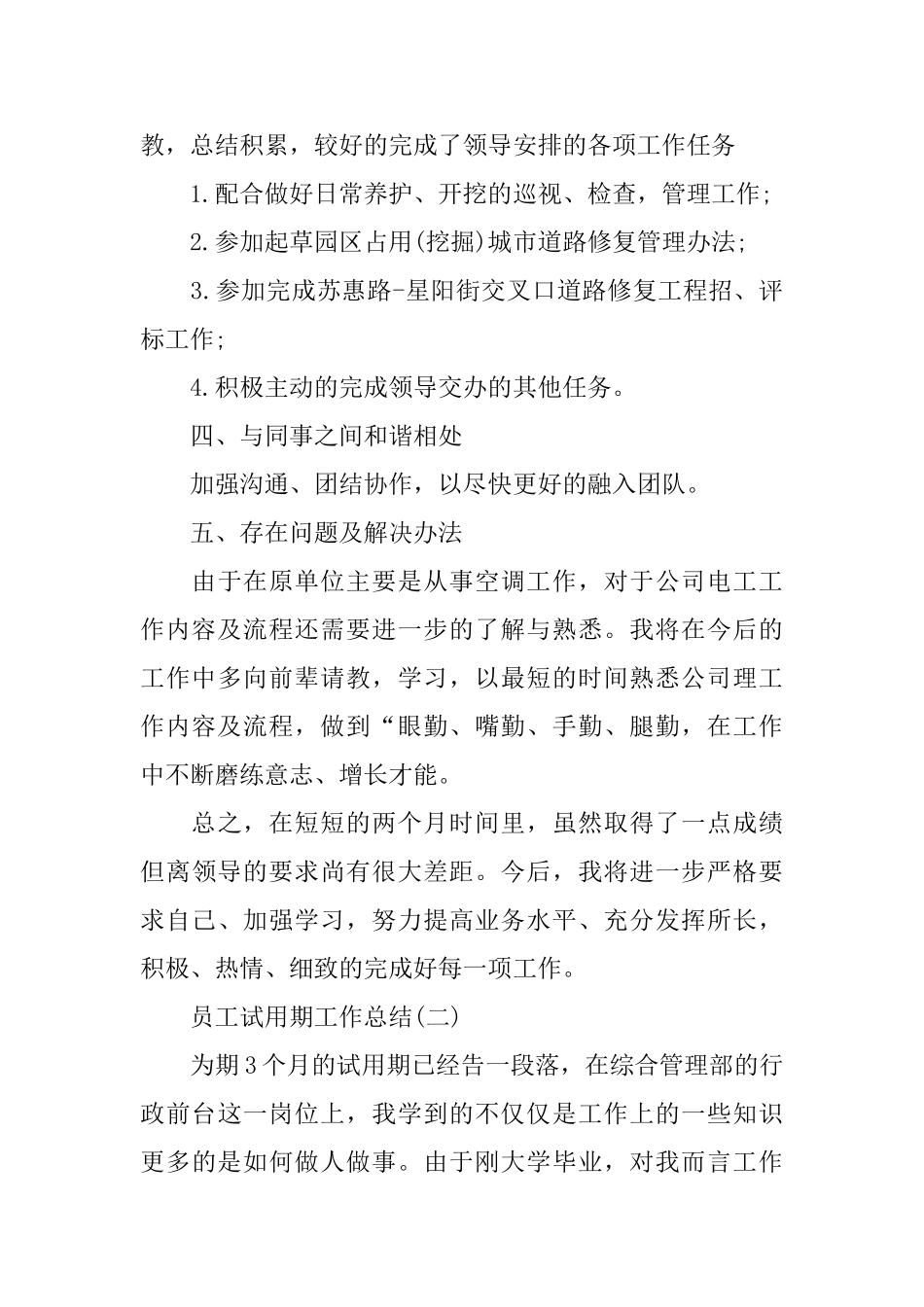 员工试用期工作总结2024_第2页