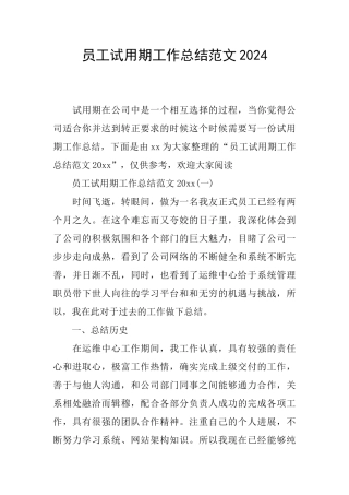 员工试用期工作总结范文2024