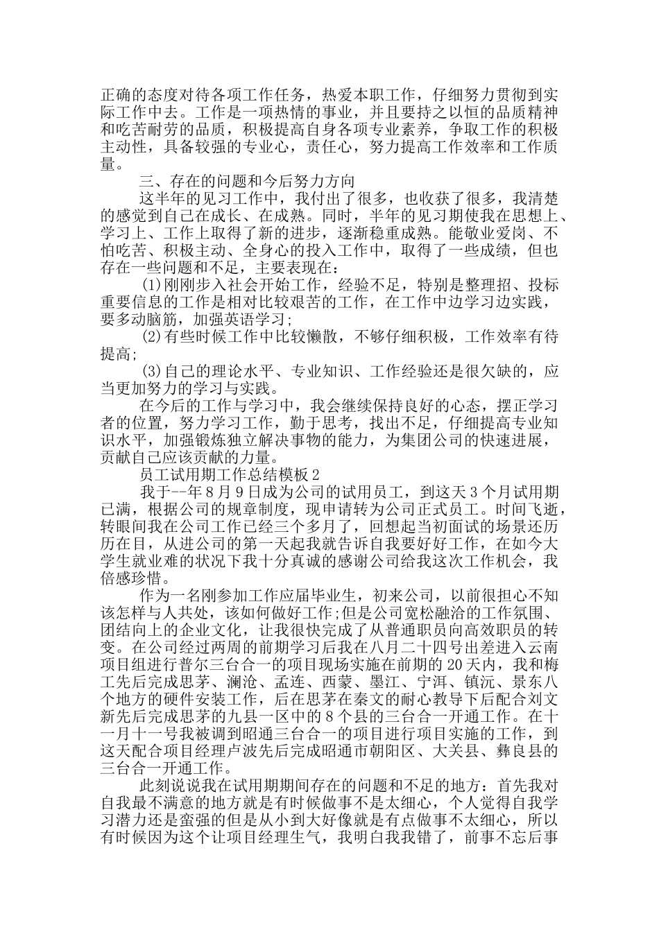 员工试用期工作总结模板_第2页