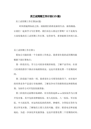 员工试用期工作计划